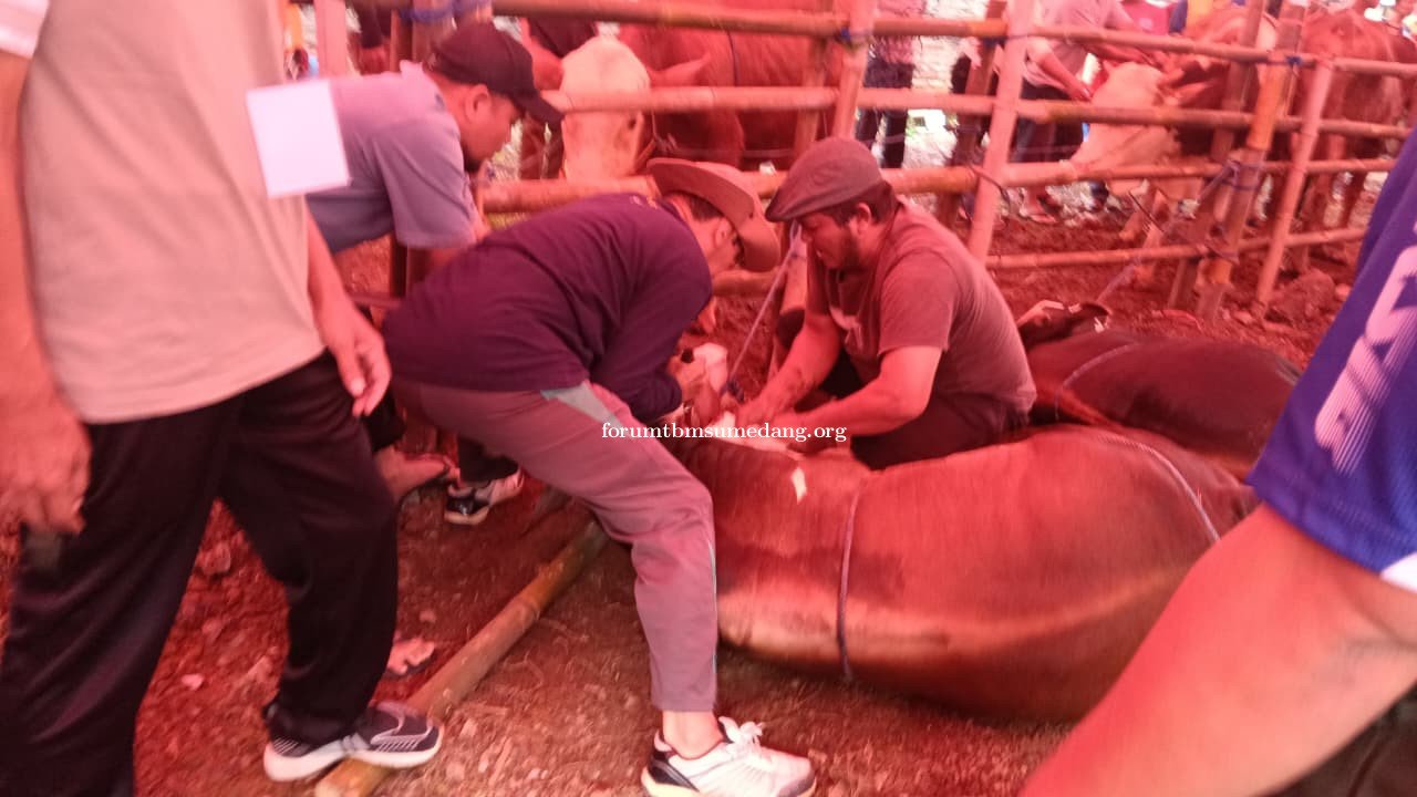 Tim Perecah Hewan Kurban Regu 5 Laporkan Hasil Kerja