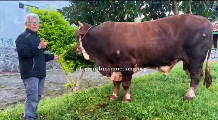 MUI Tegaskan Bantuan Sapi Kurban Presiden dari APBN Tidak Bertentangan dengan Syariat, Masjid Al Qud